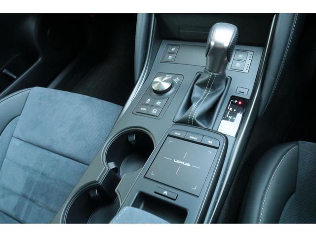 LEXUS IS300h