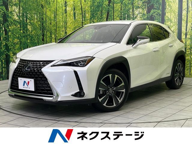 LEXUS UX250h