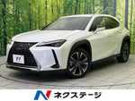 LEXUS UX250h