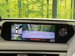 LEXUS UX250h