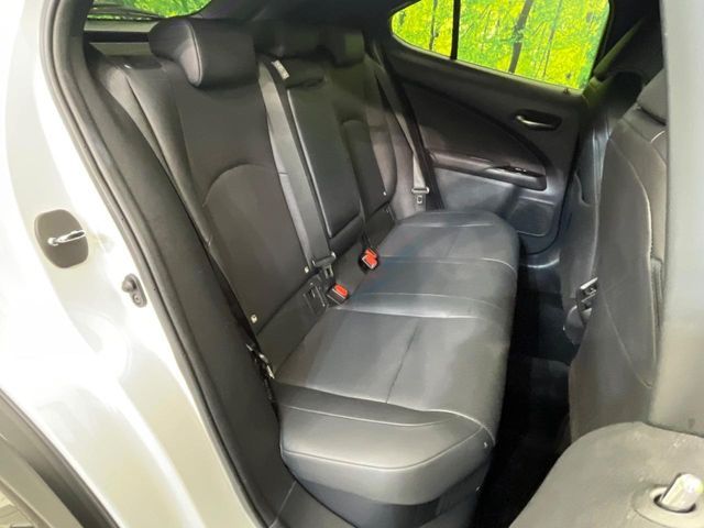 LEXUS UX250h