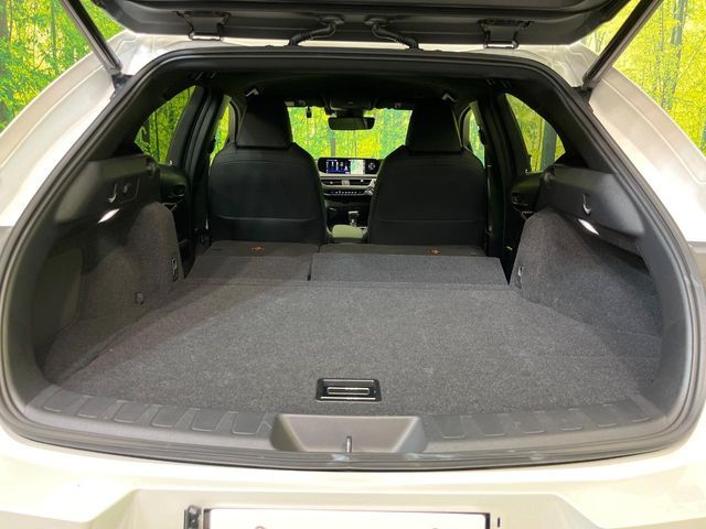 LEXUS UX250h