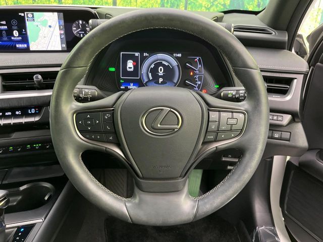 LEXUS UX250h