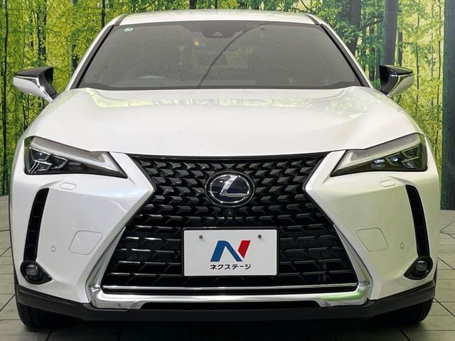 LEXUS UX250h