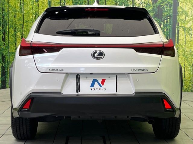 LEXUS UX250h