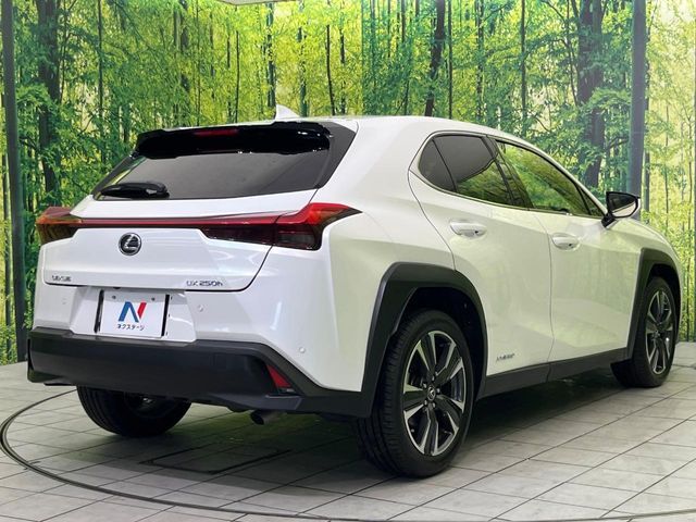 LEXUS UX250h