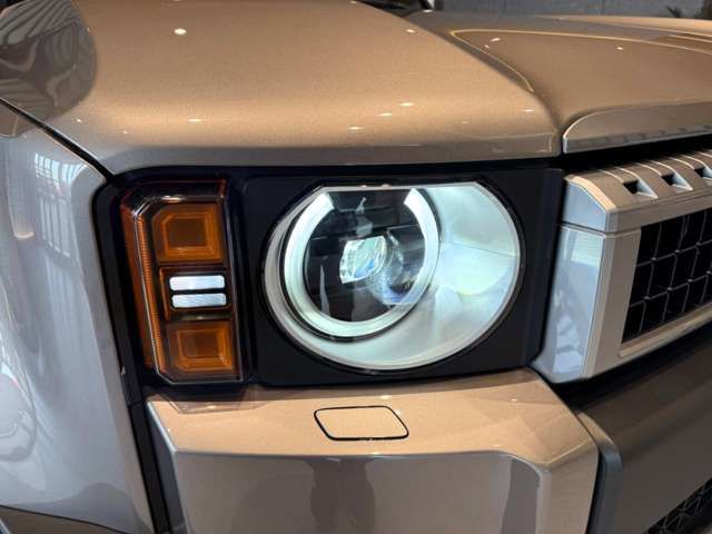 LANDCRUISER 250