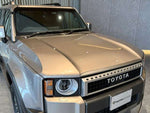 LANDCRUISER 250
