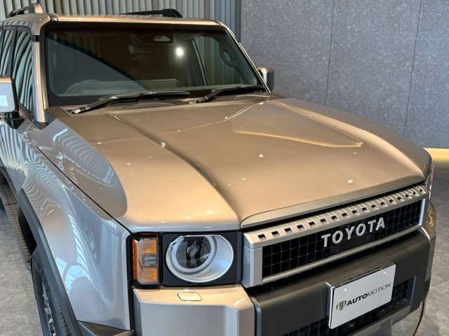 LANDCRUISER 250