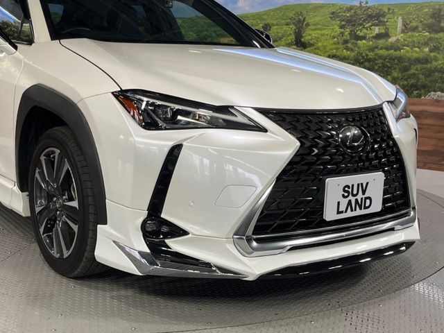 LEXUS UX200