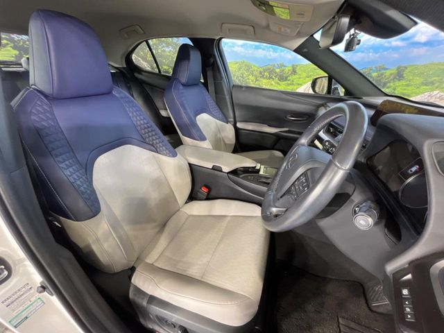 LEXUS UX200