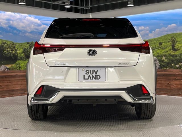 LEXUS UX200