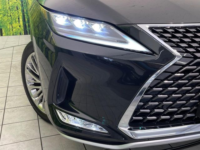 LEXUS RX300