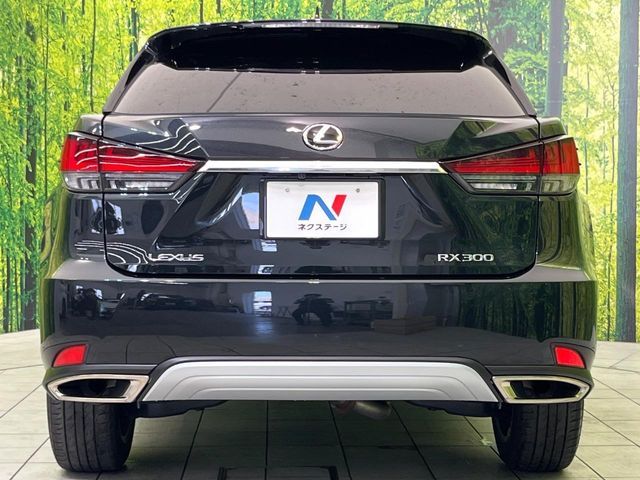 LEXUS RX300