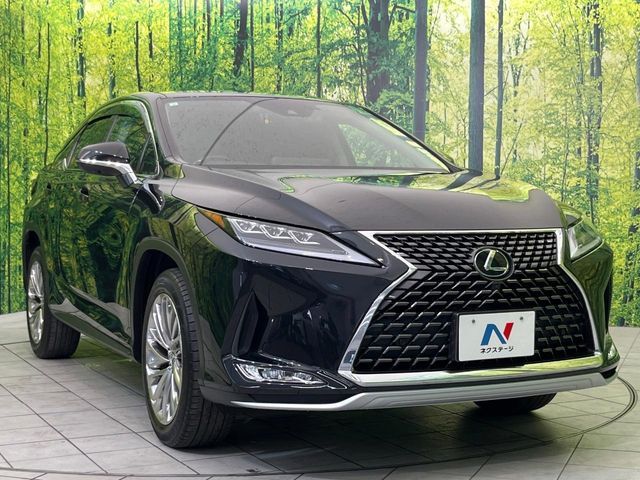 LEXUS RX300
