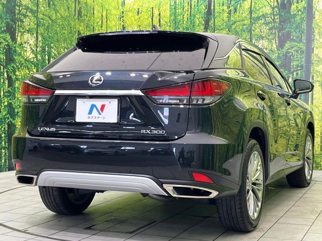 LEXUS RX300
