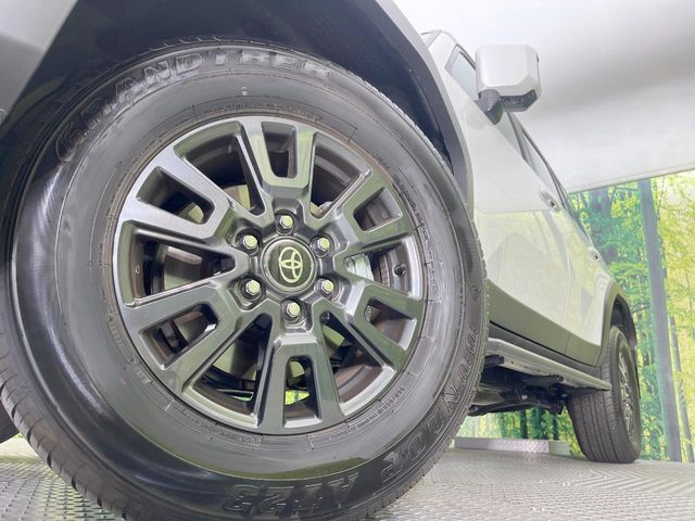 LANDCRUISER 250