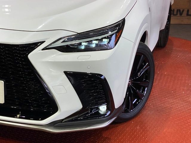 LEXUS NX350h