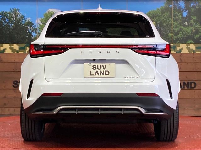 LEXUS NX350h