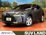 LEXUS UX250h