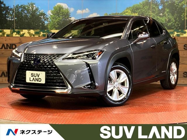 LEXUS UX250h