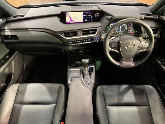 LEXUS UX250h