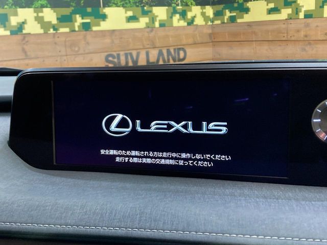LEXUS UX250h