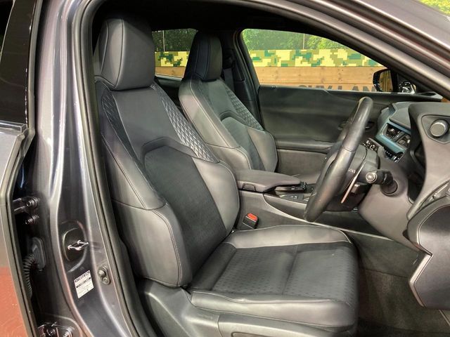 LEXUS UX250h