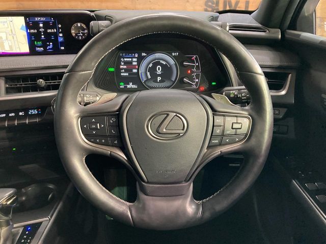 LEXUS UX250h