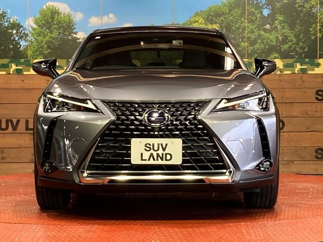 LEXUS UX250h