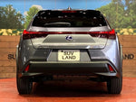 LEXUS UX250h