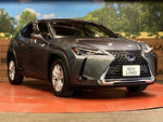 LEXUS UX250h