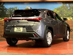 LEXUS UX250h