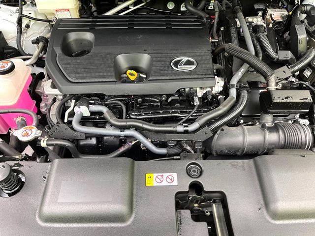 LEXUS NX350h