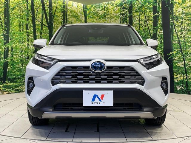 RAV4 HYBRID 4WD