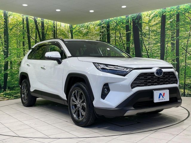 RAV4 HYBRID 4WD