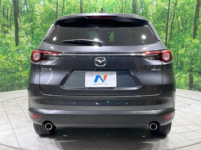 CX-8