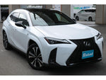 LEXUS UX250h AWD