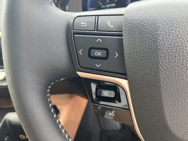 CROWN SPORT