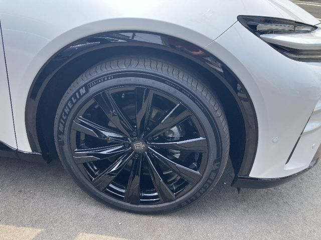 CROWN SPORT