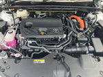 CROWN SPORT