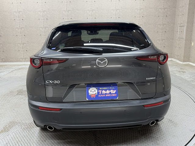 CX-30