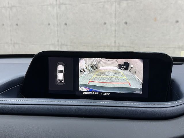 CX-30