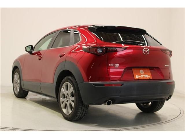CX-30