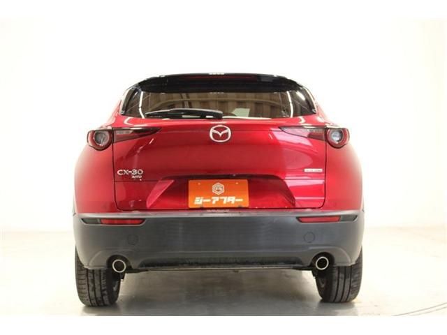 CX-30