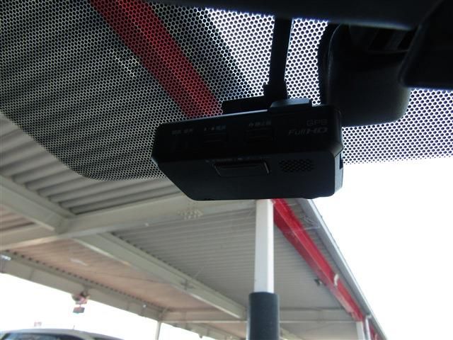 Sylphy