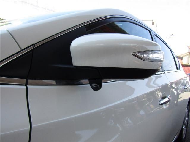 Sylphy