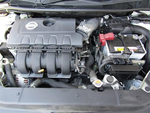 Sylphy