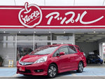 FIT SHUTTLE HYBRID