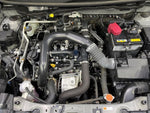 RAIZE